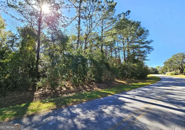 Homes for sale in Kingsland, GA | 0 Bristol Hammock Cir, Kingsland, GA 31548 | MLS# 10770767