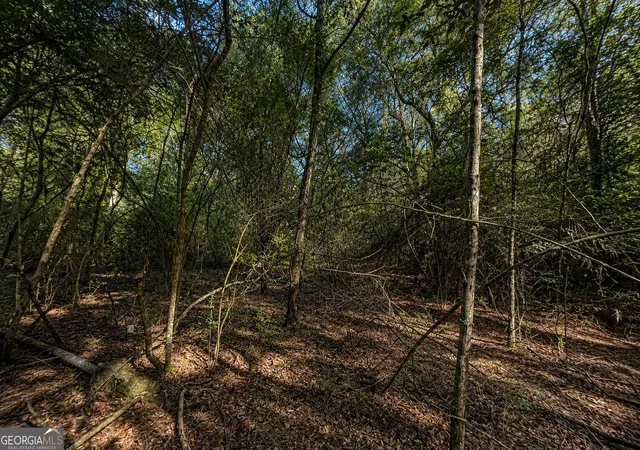 20th image of 399 Perdue Rd, Defuniak Springs, FL 32433 | MLS# 10794632