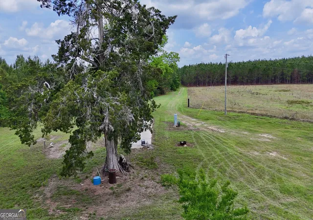11th image of 0 Neily Wagon Rd, Mcrae Helena, GA 31055 | MLS# 10764355