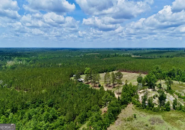 1st image of 0 Neily Wagon Rd, Mcrae Helena, GA 31055 | MLS# 10764355