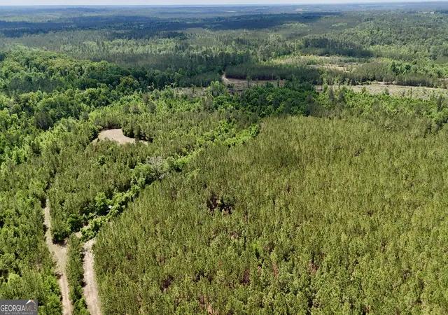 2nd image of 0 Neily Wagon Rd, Mcrae Helena, GA 31055 | MLS# 10764355