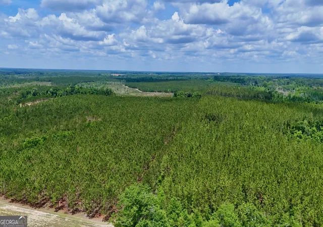 3rd image of 0 Neily Wagon Rd, Mcrae Helena, GA 31055 | MLS# 10764355