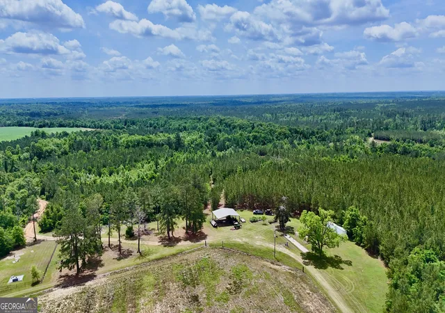 4th image of 0 Neily Wagon Rd, Mcrae Helena, GA 31055 | MLS# 10764355