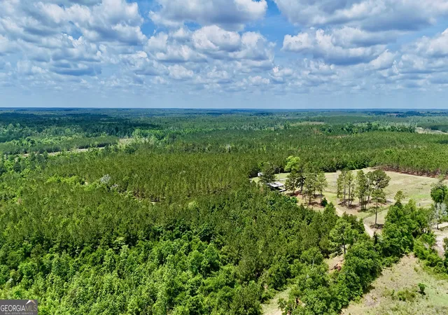 5th image of 0 Neily Wagon Rd, Mcrae Helena, GA 31055 | MLS# 10764355