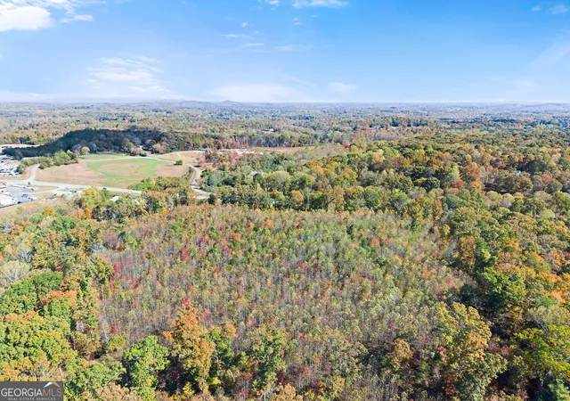 25th image of 54 Totherow Rd, Cleveland, GA 30528 | MLS# 10816786