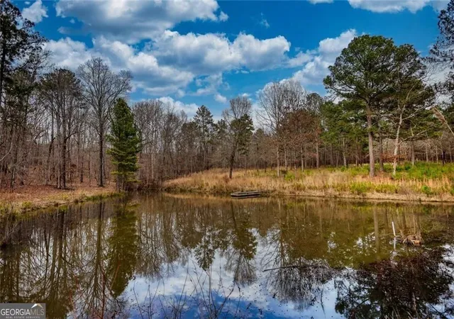 Homes for sale in Buckhead, GA | 2491 Reids Ferry Rd, Buckhead, GA 30625 | MLS# 10715069