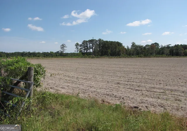 Photo 2 of Sale Pending at 0 Old Louisville Rd, Oliver, GA 30449 | MLS# 10711588 | Listing updated on 2026-09-16