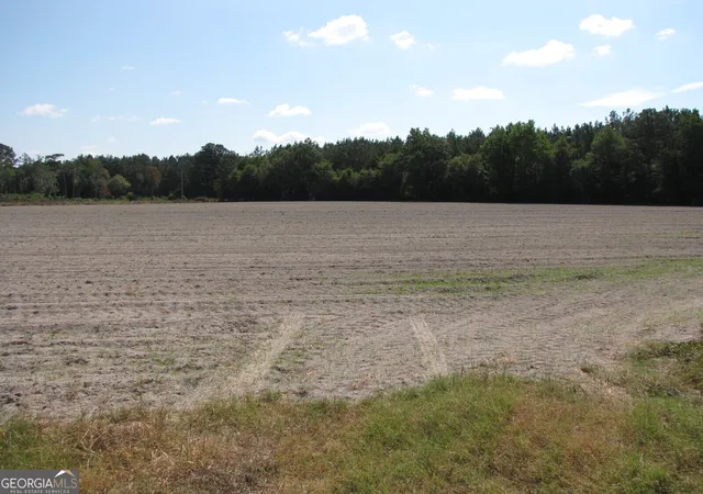 Photo 3 of Sale Pending at 0 Old Louisville Rd, Oliver, GA 30449 | MLS# 10711588 | Listing updated on 2026-09-16