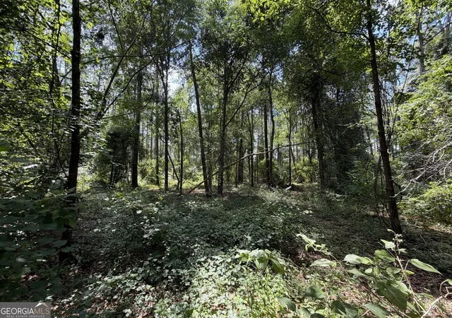 11th image of 6965 Jim Pruett Rd, Eastman, GA 31023 | MLS# 10778140