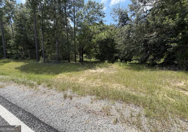 2nd image of 6965 Jim Pruett Rd, Eastman, GA 31023 | MLS# 10778140