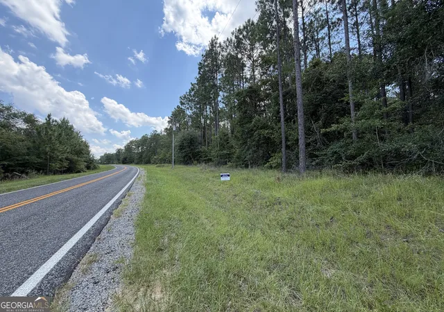 3rd image of 6965 Jim Pruett Rd, Eastman, GA 31023 | MLS# 10778140