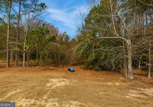 4th image of 6965 Jim Pruett Rd, Eastman, GA 31023 | MLS# 10778140