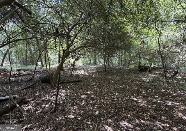 5th image of 6965 Jim Pruett Rd, Eastman, GA 31023 | MLS# 10778140