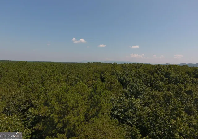 Photo 3 of Land for sale at 0 Pack Rd Ne #9628-E, Ranger, GA 30734 | MLS# 20178378 | Listing updated on 2026-09-07