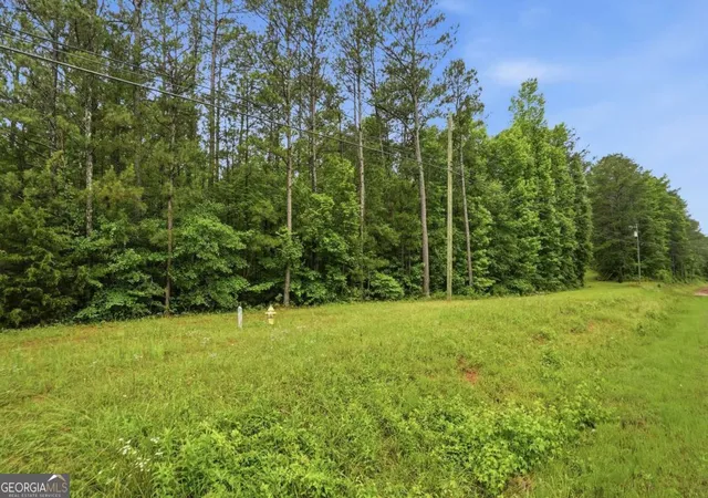 Photo 1 of Land for sale at 2919 Highway, Covington, GA 30016 | MLS# 10779699 | Listing updated on 2026-06-19