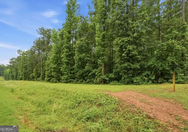 Photo 2 of Land for sale at 2919 Highway, Covington, GA 30016 | MLS# 10779699 | Listing updated on 2026-06-19