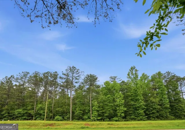 Photo 3 of Land for sale at 2919 Highway, Covington, GA 30016 | MLS# 10779699 | Listing updated on 2026-06-19