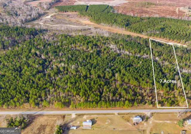 Homes for sale in Swainsboro, GA | 0 Quick Road #7-ACRE TRACT, Swainsboro, GA 30401 | MLS# 10729907