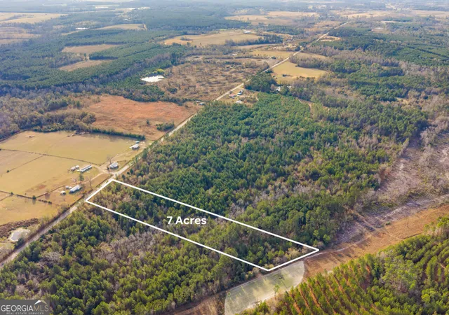 Homes for sale in Swainsboro, GA | 0 Quick Road #7-ACRE TRACT, Swainsboro, GA 30401 | MLS# 10729907