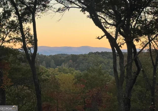 1st image of 195 Wolf Creek Mountain Rd, Mineral Bluff, GA 30559 | MLS# 10631989