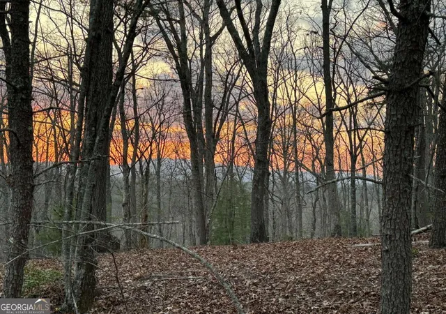 Photo 3 of Sale Pending at 195 Wolf Creek Mountain Rd, Mineral Bluff, GA 30559 | MLS# 10631989 | Listing updated on 2026-02-27