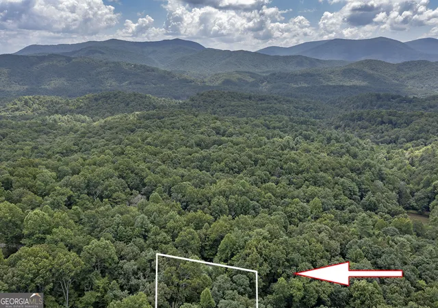 46th image of 78 Tomahawk Trl, Blue Ridge, GA 30513 | MLS# 10828987