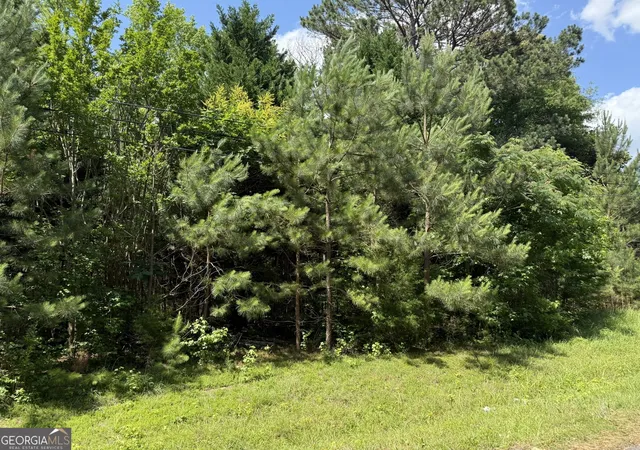 Homes for sale in Warm Springs, GA | 1425 River Rd, Warm Springs, GA 31830 | MLS# 10778776