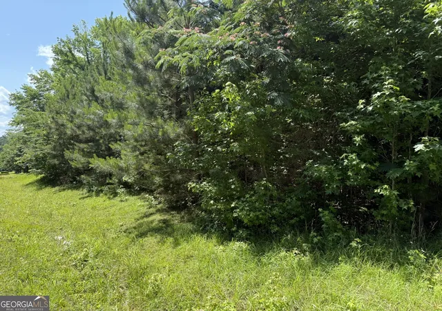 Photo 3 of Land for sale at 1425 River Rd, Warm Springs, GA 31830 | MLS# 10778776 | Listing updated on 2026-06-18