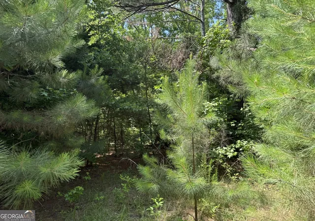 Homes for sale in Warm Springs, GA | 1425 River Rd, Warm Springs, GA 31830 | MLS# 10778776