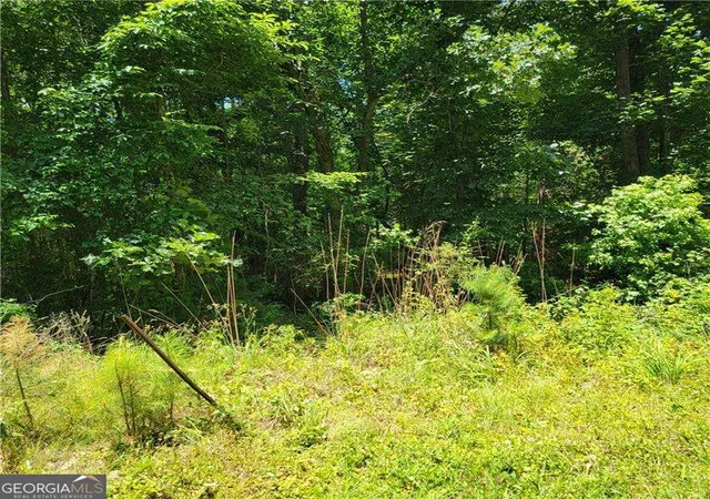 Photo 2 of Land for sale at 0 Spring Hl Dr, Covington, GA 30016 | MLS# 10699182 | Listing updated on 2026-03-12