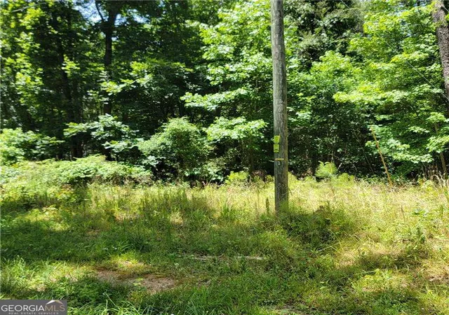 Photo 3 of Land for sale at 0 Spring Hl Dr, Covington, GA 30016 | MLS# 10699182 | Listing updated on 2026-03-12