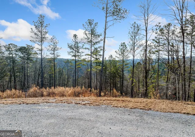 Photo 3 of Land for sale at 198 Blalock Mountain Crt, Ellijay, GA 30540 | MLS# 10451235 | Listing updated on 2026-10-02