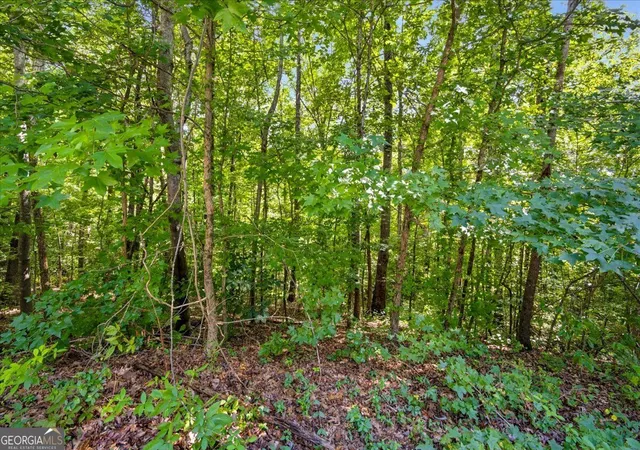 Photo 2 of Land for sale at 200 Gina Dr, Carrollton, GA 30116 | MLS# 10830433 | Listing updated on 2026-09-04