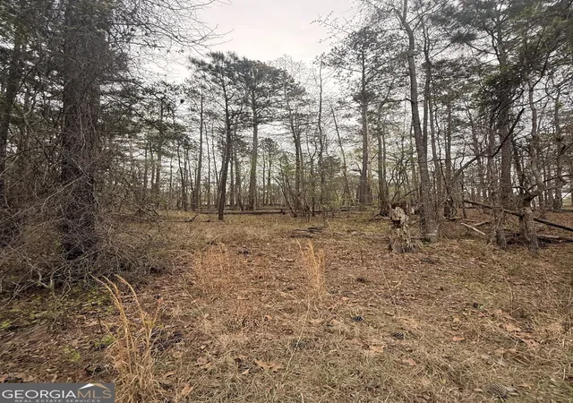 Photo 3 of Land for sale at 0 Rosedud Ct, Sparta, GA 31087 | MLS# 10722651 | Listing updated on 2026-05-14