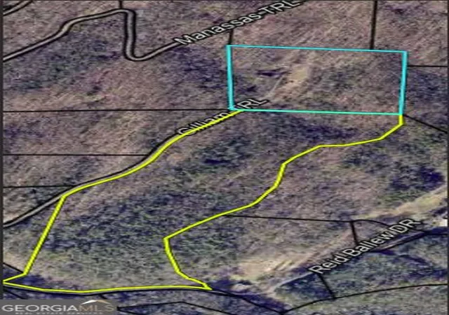 21st image of 467 Gilliam Rd, Mineral Bluff, GA 30559 | MLS# 10814816