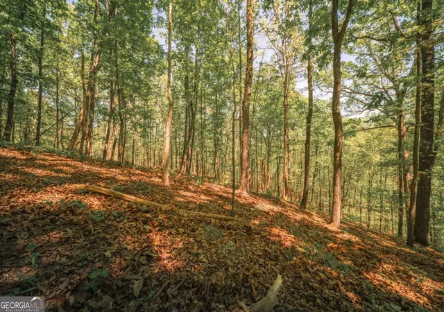 Photo 2 of Land for sale at 0 Hancock Mountain Trl, Waleska, GA 30183 | MLS# 10735419 | Listing updated on 2026-07-02