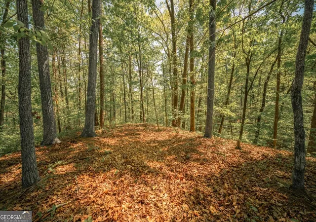 Photo 3 of Land for sale at 0 Hancock Mountain Trl, Waleska, GA 30183 | MLS# 10735419 | Listing updated on 2026-07-02