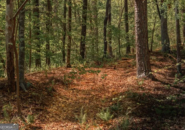 Photo 4 of Land for sale at 0 Hancock Mountain Trl, Waleska, GA 30183 | MLS# 10735419 | Listing updated on 2026-07-02