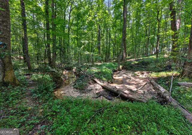 16th image of 1322 Center Dr, Auburn, GA 30011 | MLS# 10819530
