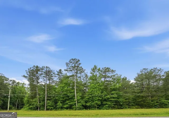 Photo 2 of Land for sale at 2907 Highway, Covington, GA 30016 | MLS# 10779739 | Listing updated on 2026-06-19