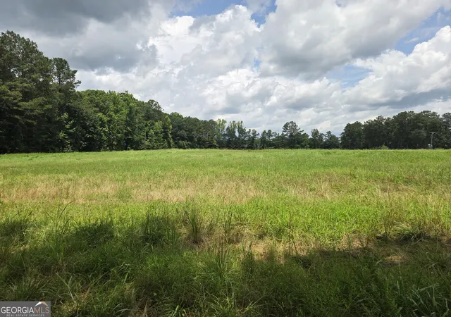 Homes for sale in Gay, GA | 5409 Mount Carmel Rd, Gay, GA 30218 | MLS# 10785642