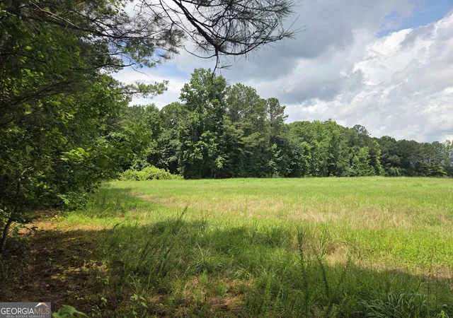 Homes for sale in Gay, GA | 5409 Mount Carmel Rd, Gay, GA 30218 | MLS# 10785642