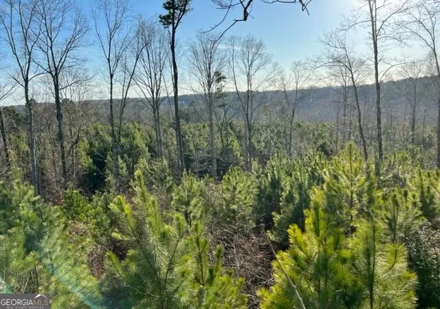 Photo 3 of Land for sale at 0 Luke Edwards Rd, Dacula, GA 30019 | MLS# 10829203 | Listing updated on 2026-09-02