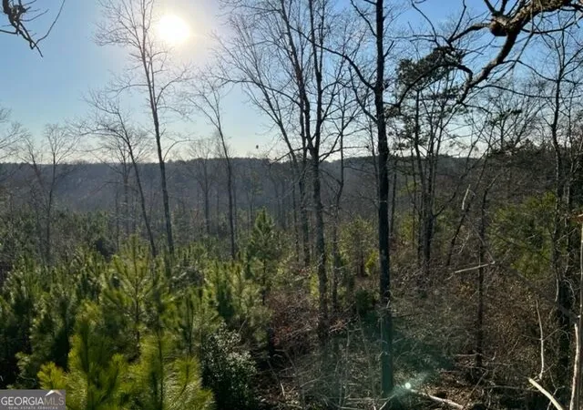 Photo 3 of Land for sale at 0 Luke Edwards Rd, Dacula, GA 30019 | MLS# 10829203 | Listing updated on 2026-09-02