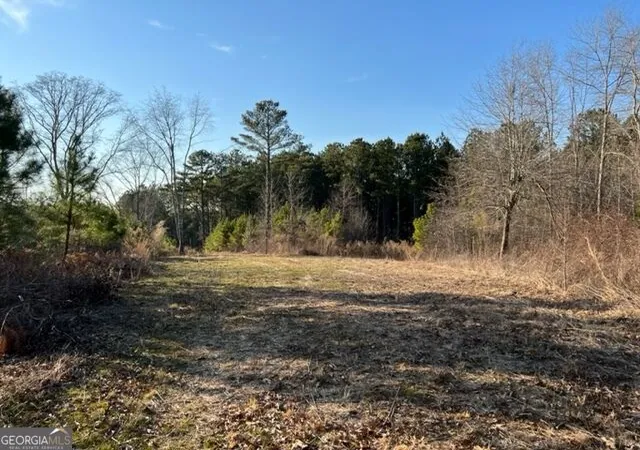 Photo 4 of Land for sale at 0 Luke Edwards Rd, Dacula, GA 30019 | MLS# 10829203 | Listing updated on 2026-09-02