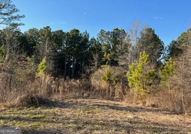 7th image of 0 Luke Edwards Rd, Dacula, GA 30019 | MLS# 10829203