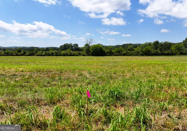 4th image of 0 Buttermilk Road - Tract 4, Cave Spring, GA 30124 | MLS# 10830330