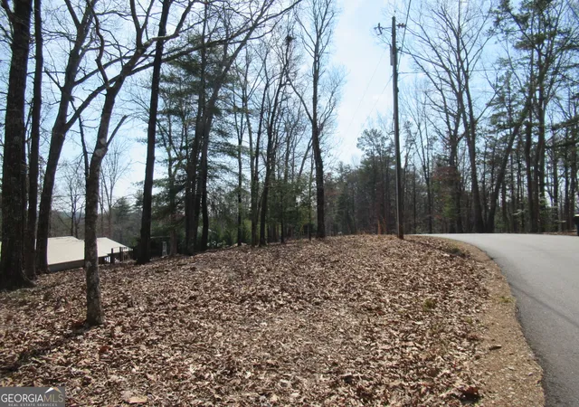 Photo 4 of Single family home for sale at 378 Laurel Cir, Dahlonega, GA 30533 | MLS# 10715744 | Listing updated on 2026-08-06
