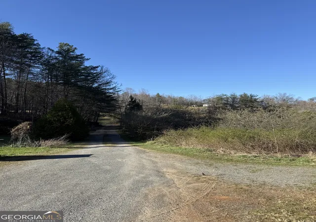 4th image of 0 Blue Arrow Ln, Mineral Bluff, GA 30559 | MLS# 10724192