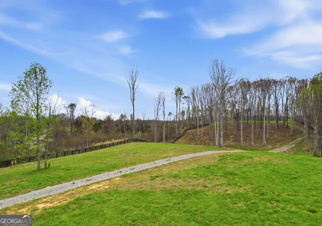 2nd image of 0 Carlan Rd, Jasper, GA 30143 | MLS# 10722321
